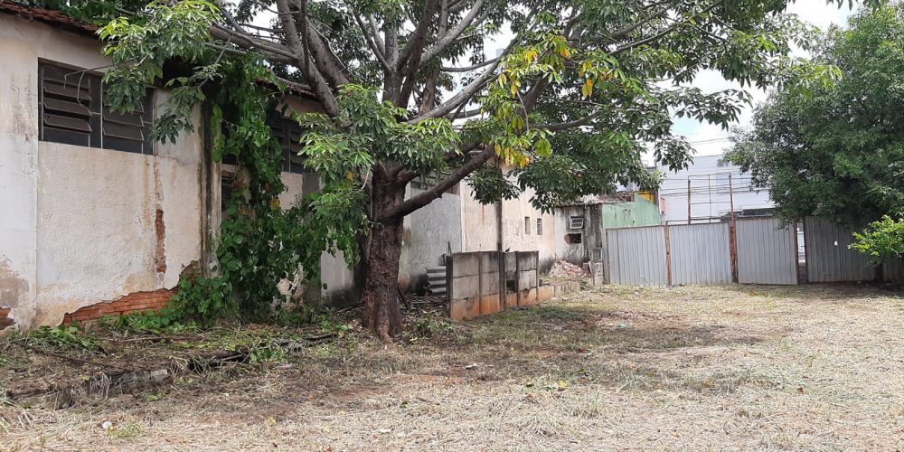 69b5389d-0b00-4e76-9d53-b1617fb65684